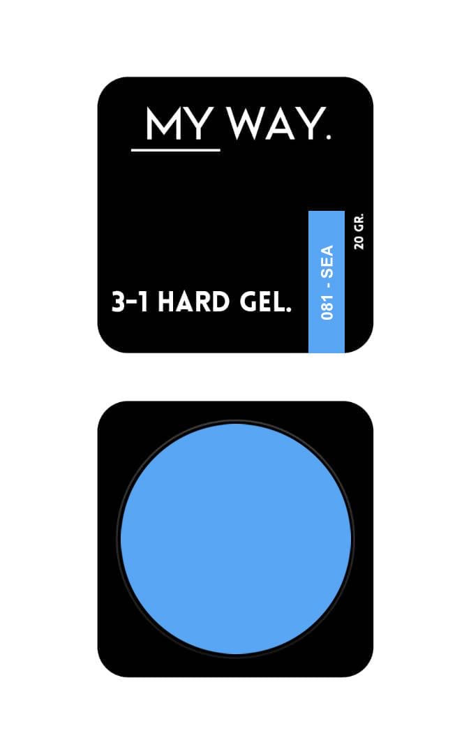3-1 HARDGEL #081 - SEA 20 GR.