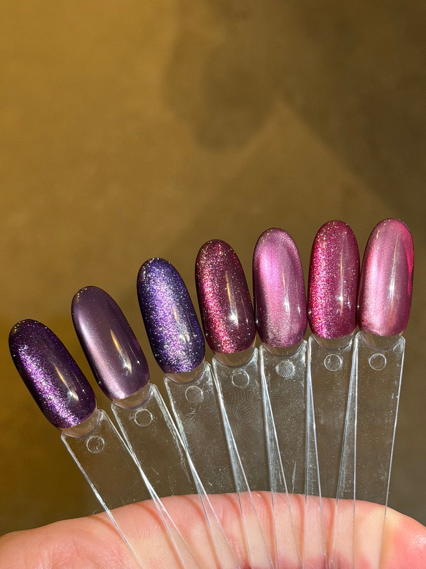 CAT EYE - ‘FINANCE COLLECTION’ (PRESALE)